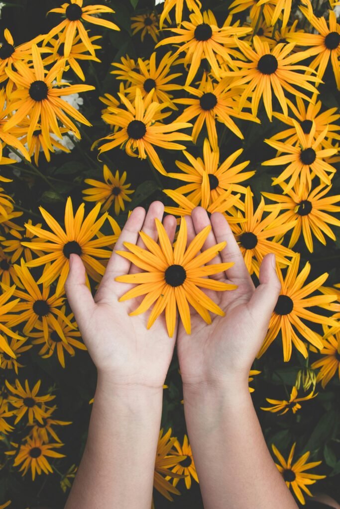 pexels-photo-1697912-1697912 Close-up of hands holding vibrant yellow daisies, showcasing natural beauty and floral pattern.